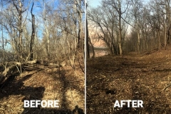 Before-After-forestry-mulching2