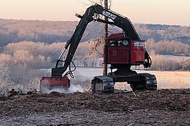 Forestry Mulching