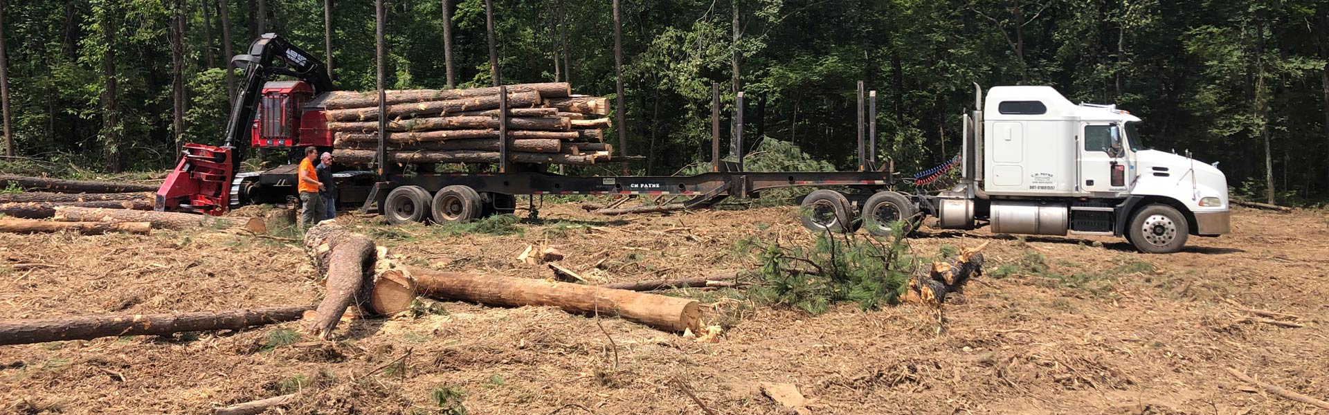 Forestry Mulching, Land Clearing, Excavating Brandy Station VA